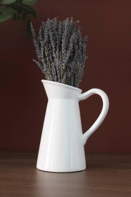 Lavandula Ring تيرانا المظهر الخارجي الصورة