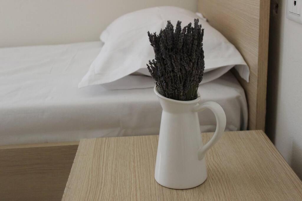 Lavandula Ring تيرانا المظهر الخارجي الصورة
